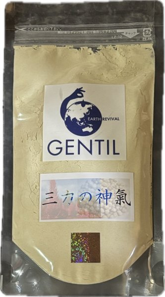画像1: 三力の神氣 (1)